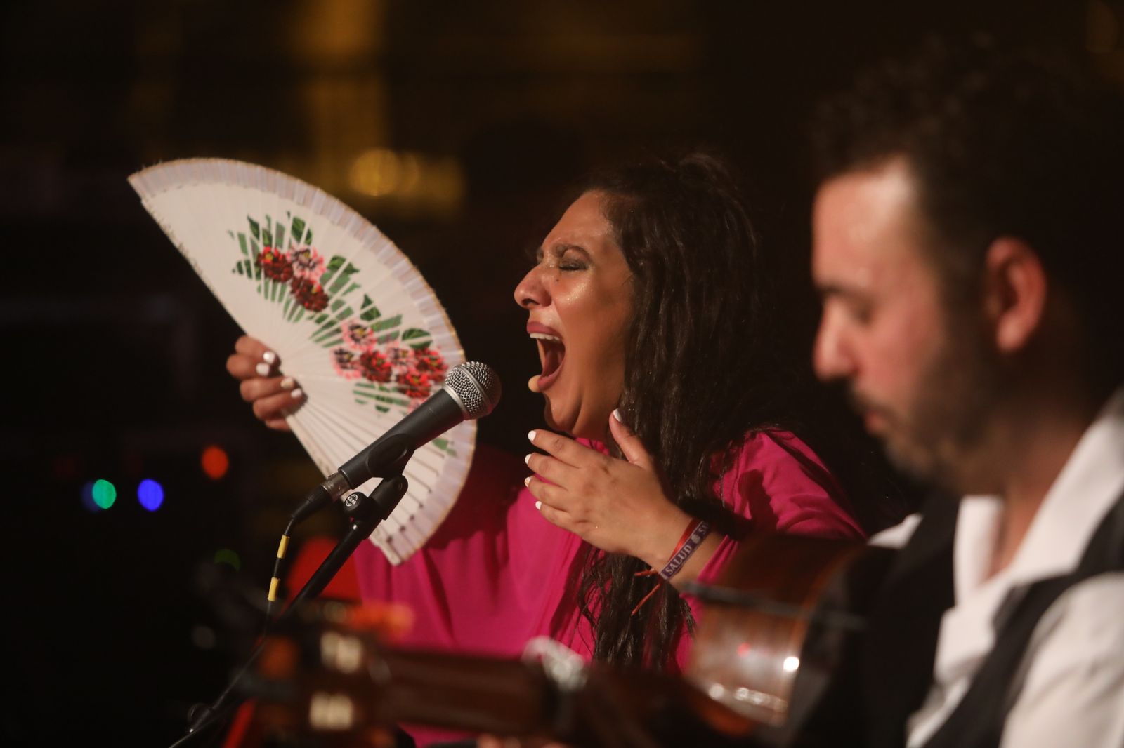 La noche flamenca en el Parque de San Fernando, en imágenes