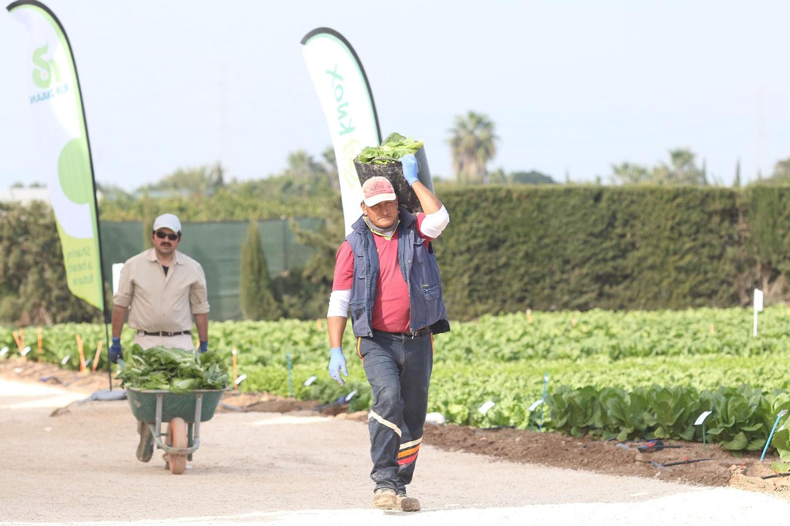 Fotogalería de las jornadas de puertas abiertas de Rijk Zwaan en Cartagena