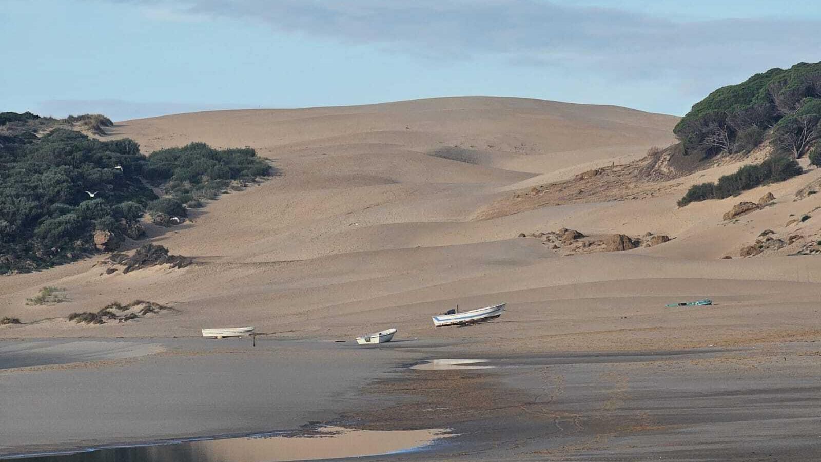 La playa de Bolonia, este jueves.