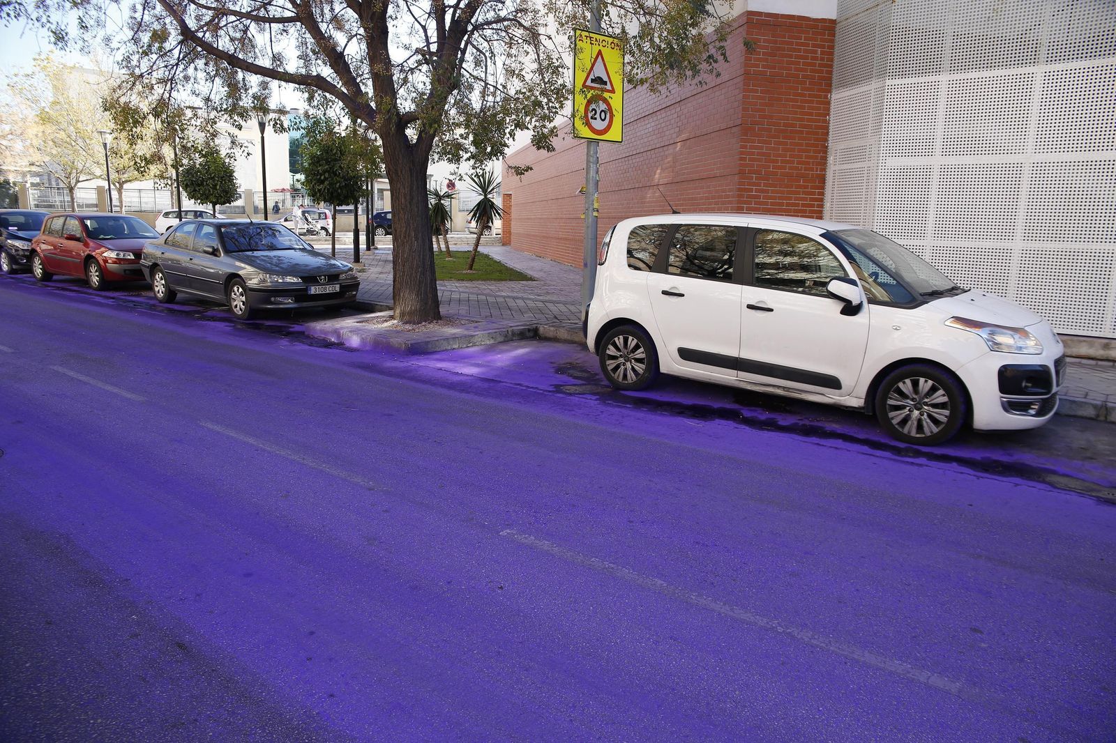 La calle del pabellón Paquillo Fernández permanecía ayer tintada.
