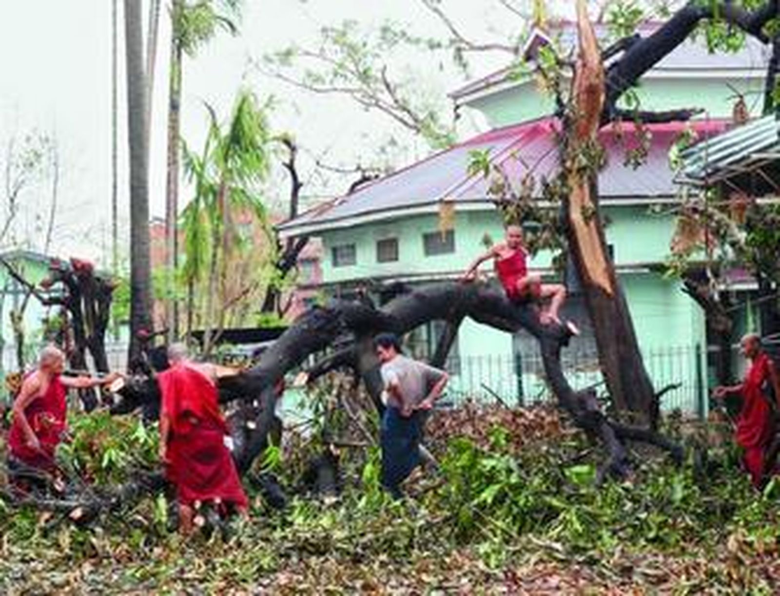 Un grupo de monjes budistas limpia de ramas una zona afectada por el ciclón 'Nargis'.