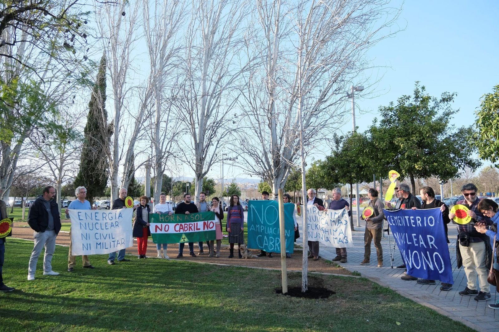 Plantan un nuevo ginkgo en Córdoba por el aniversario del accidente de Fukushima, en imágenes
