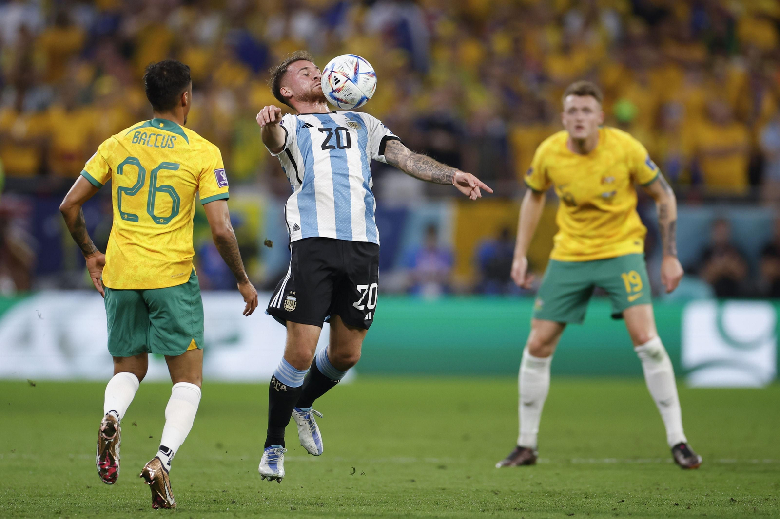 Las fotos del Argentina - Australia