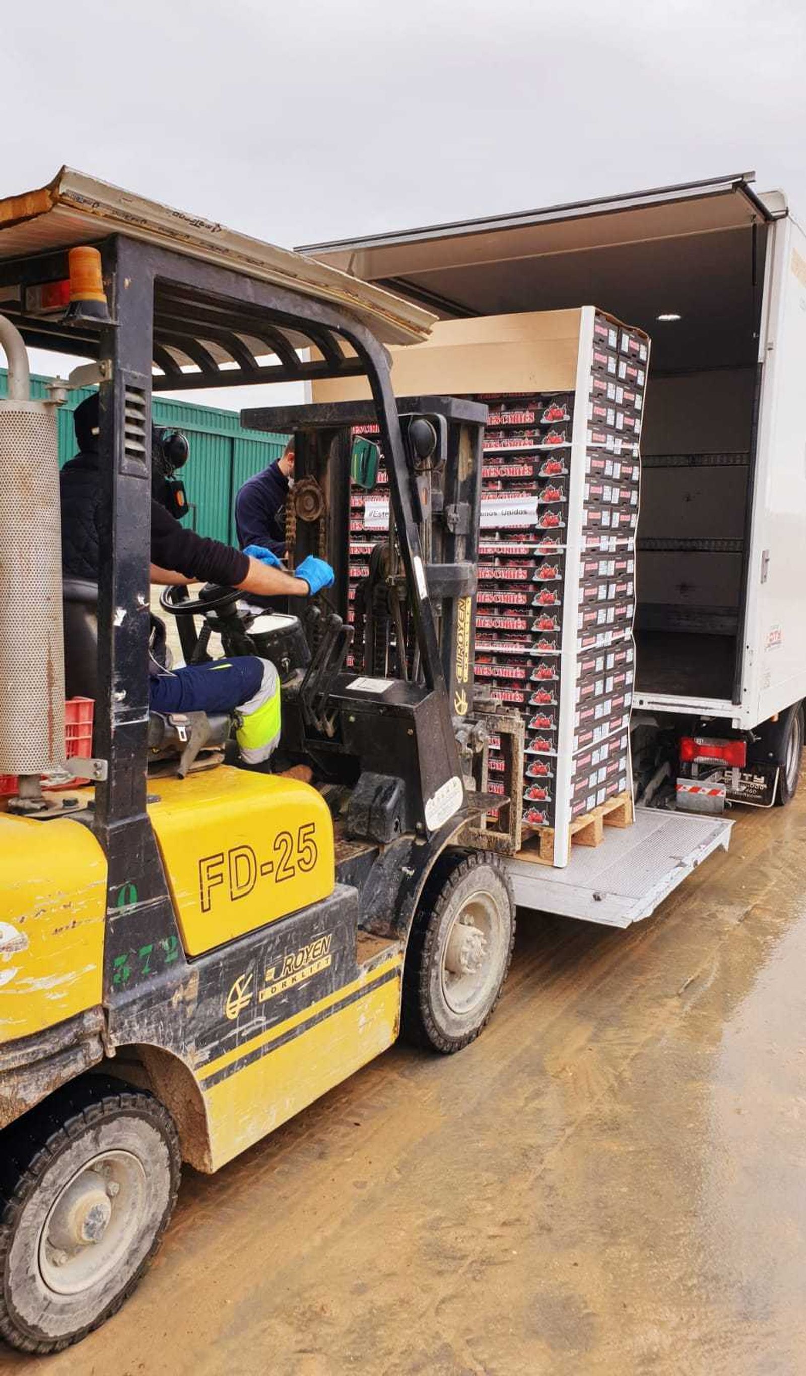 Almacenaje de fresas en una finca de la provincia de Huelva.
