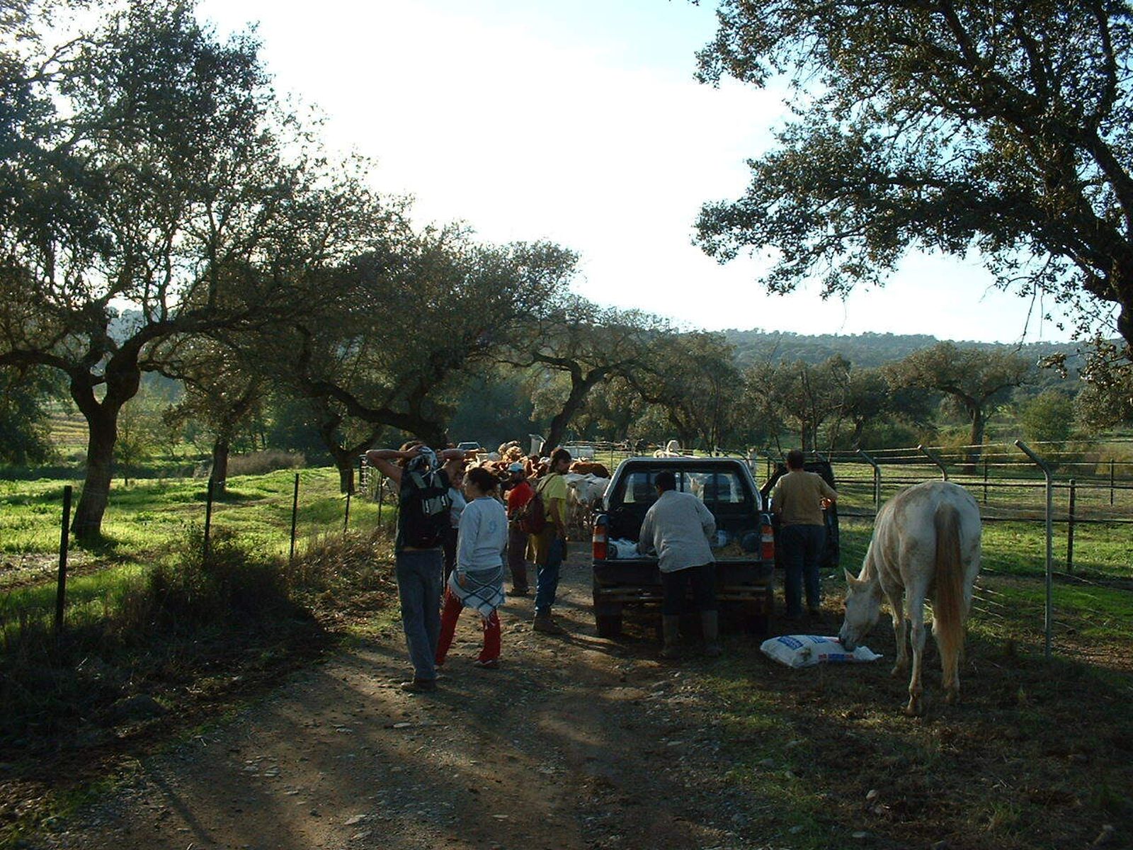 Movilización en el camino de la finca de Torilejos.
