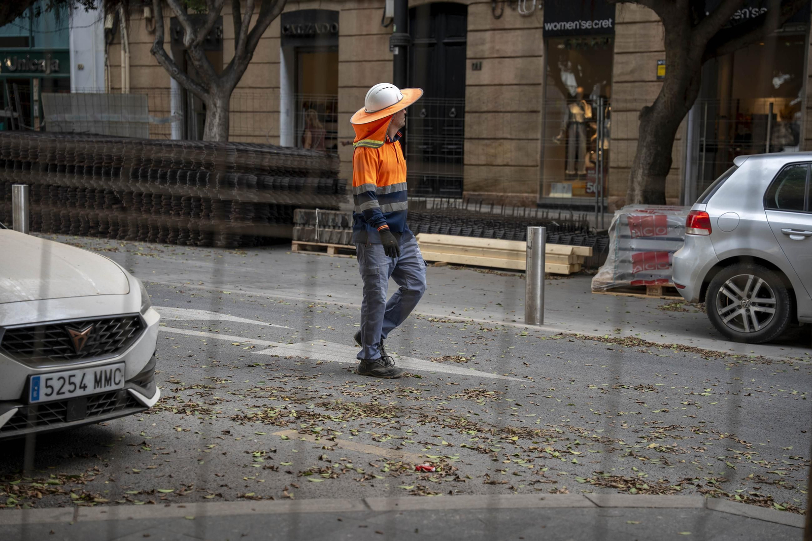 Cortes peatonales por obras en el paseo