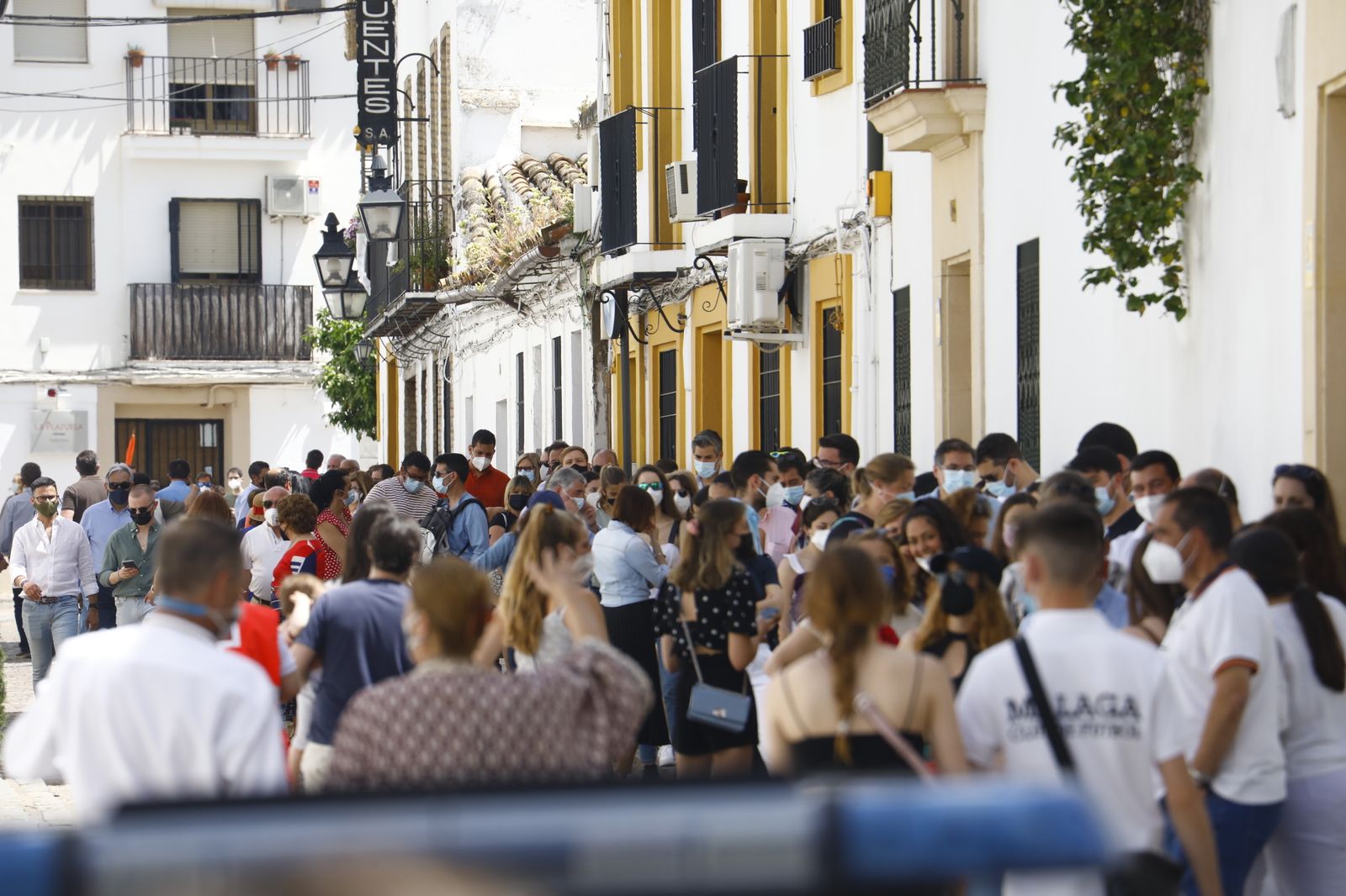 Fotografías: Sábado de colas y bulla en los Patios de Córdoba