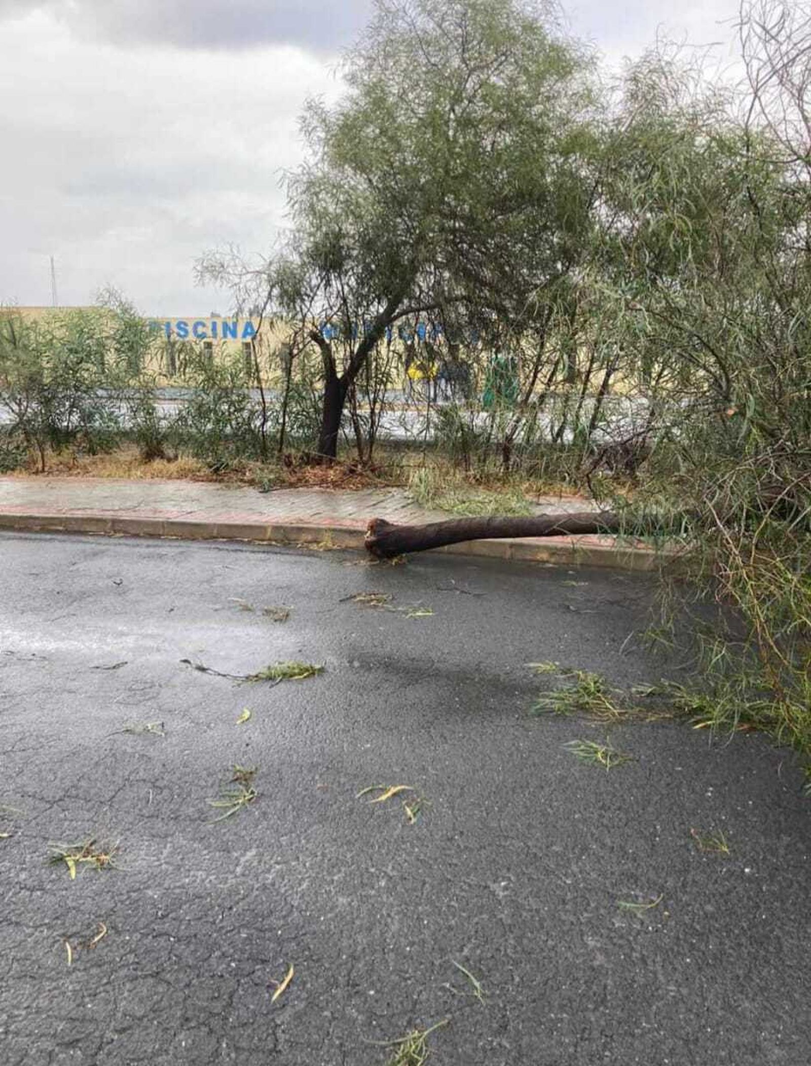 Daños del temporal en Tharsis
