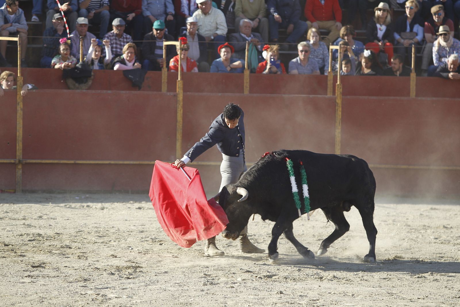 Fotogalería Festival Taurino Mixto. Fiestas de Abrucena.