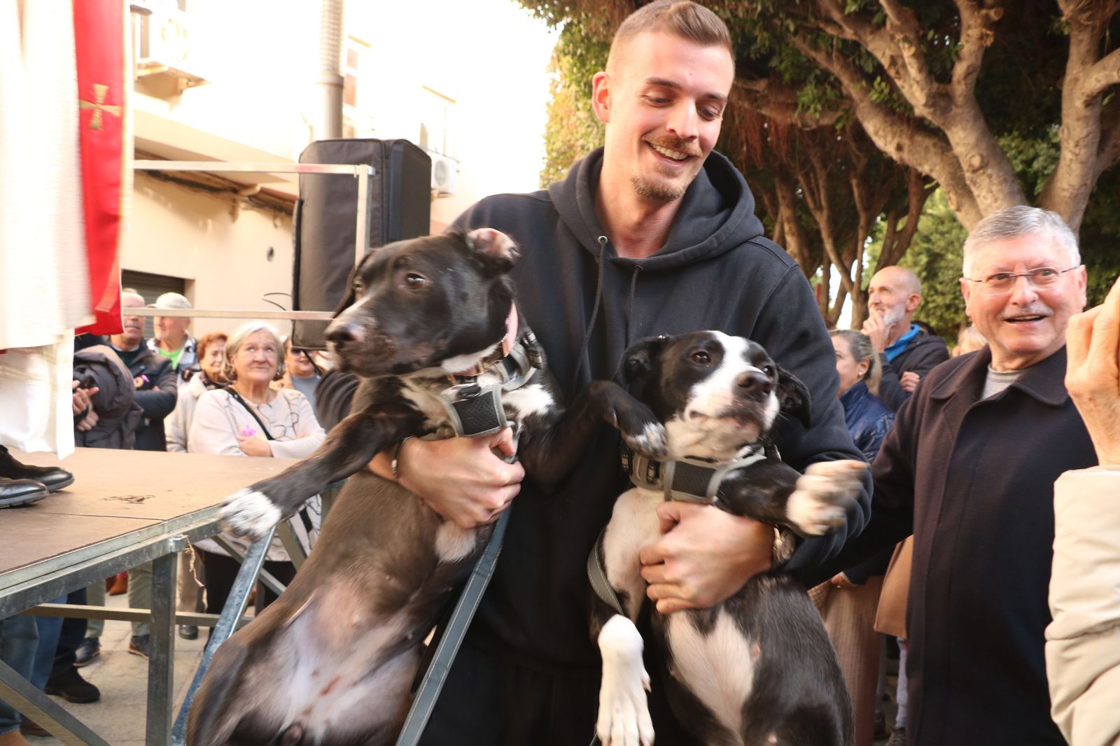 Así ha sido la bendición de las mascotas y la subasta de 'rabicos' en el casco histórico de Almería