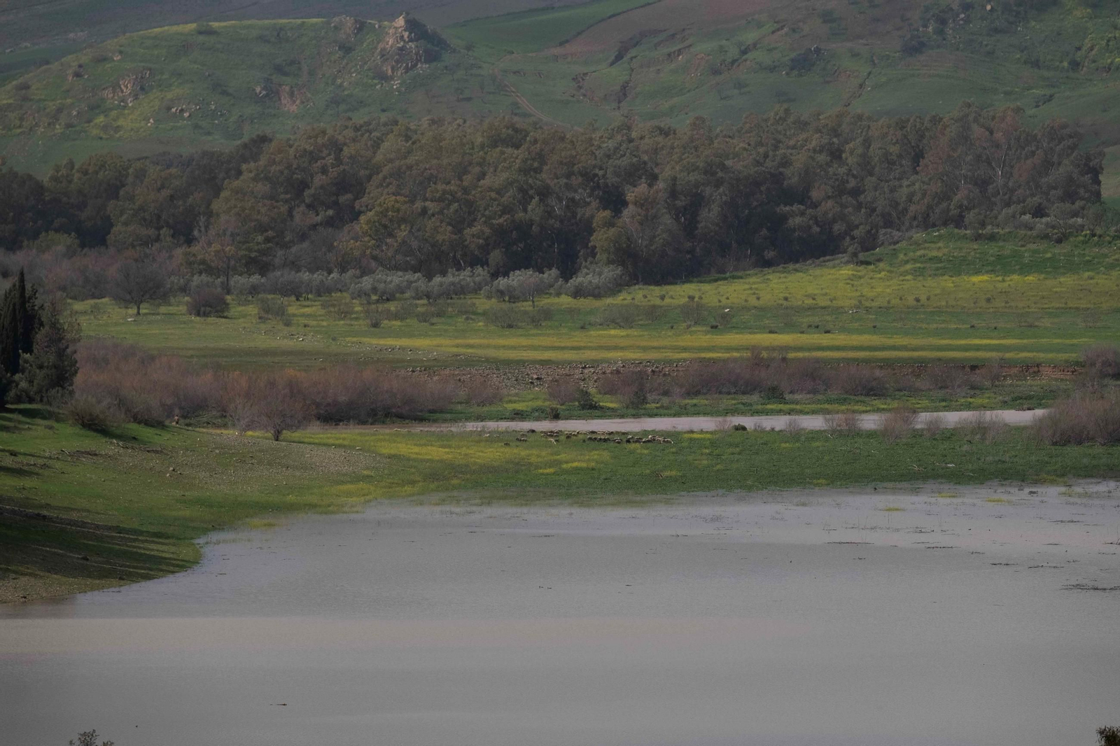 Cola del pantano de Conde del Guadalhorce el martes pasado.