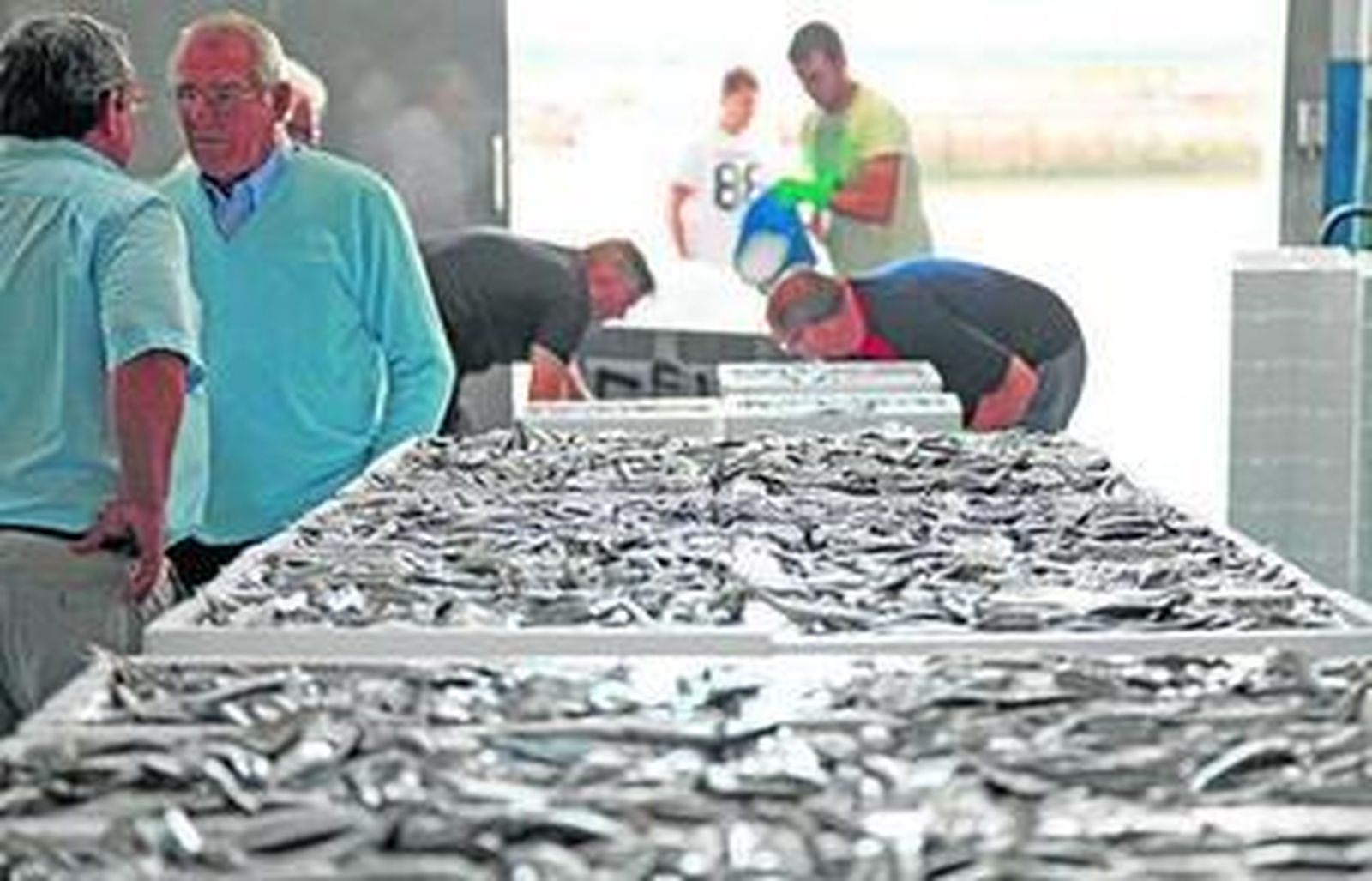 Pescado fresco en la lonja del puerto de Almería.
