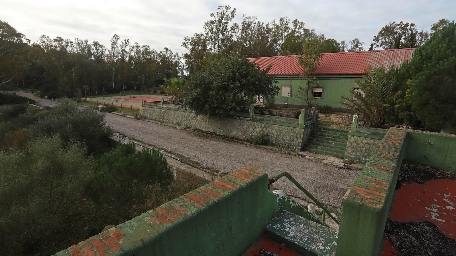 Las mejores fotos de Paloma Alta