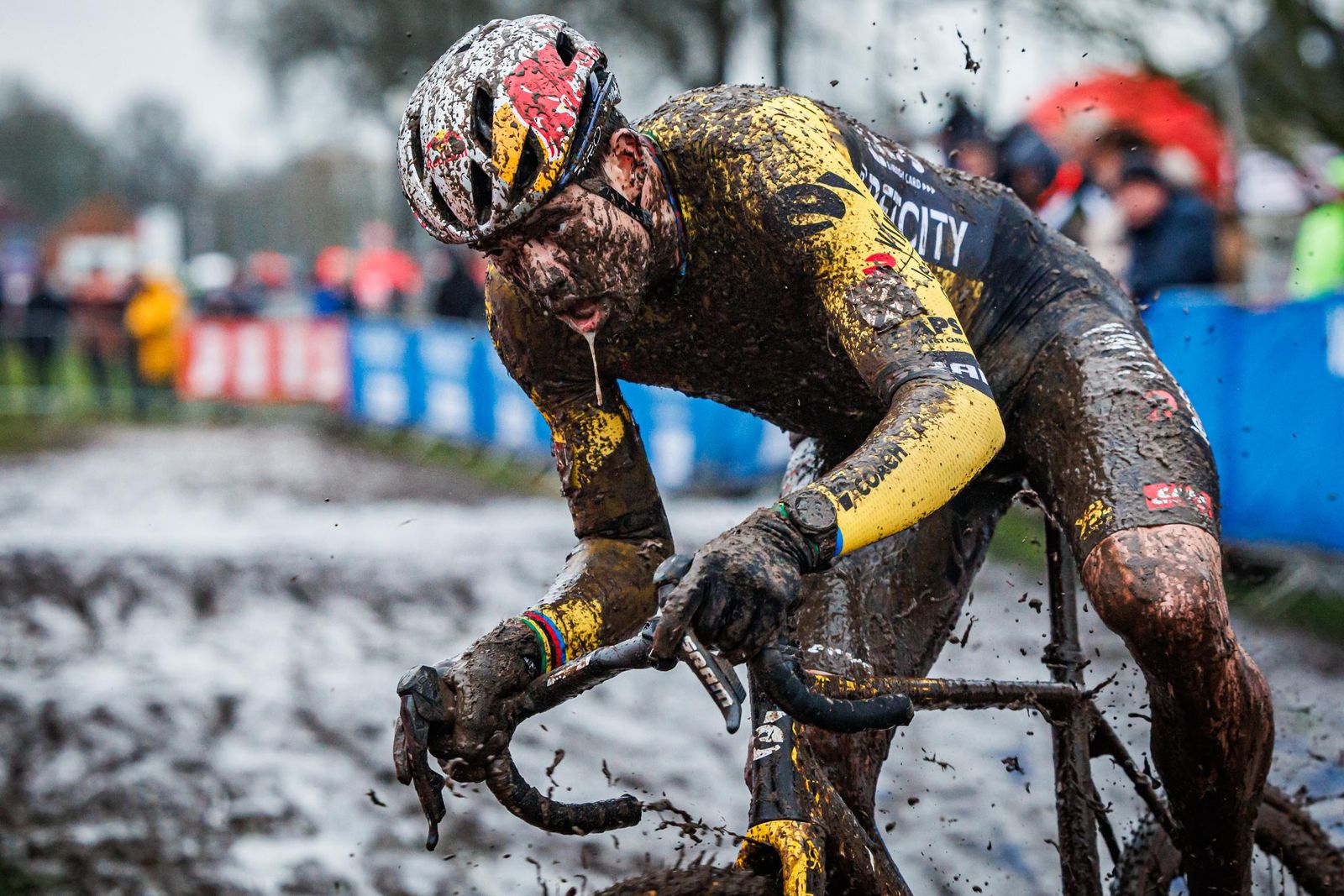 Ciclismo | Wout van Aert, Cyclocross in optima forma at Dendermonde, Belgium