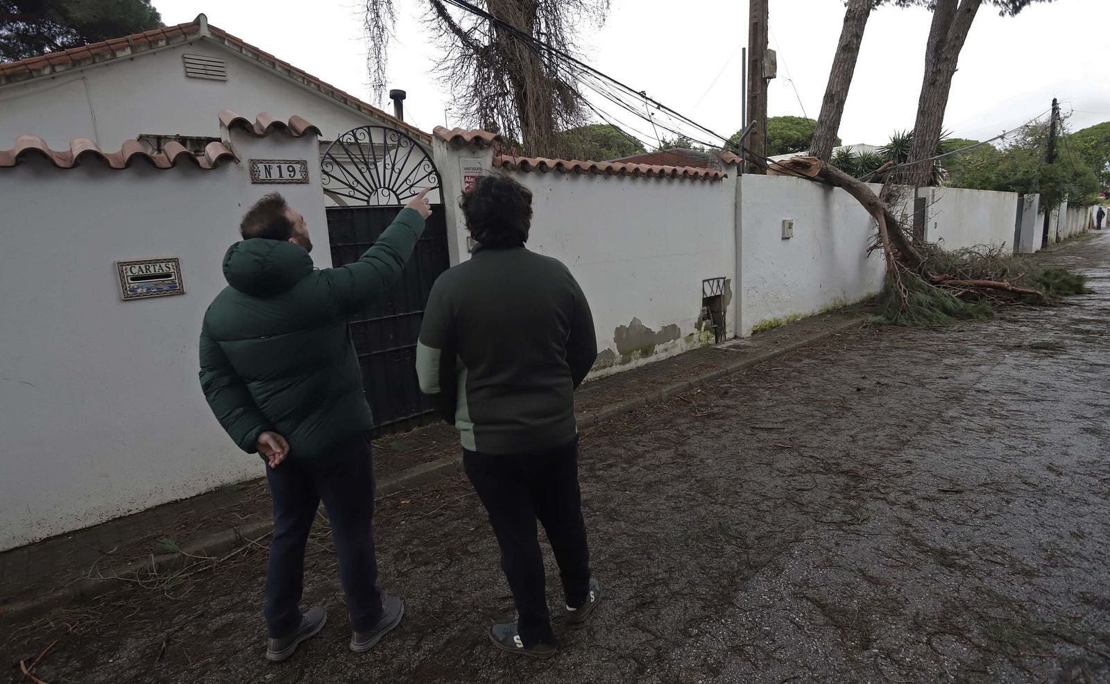 24 horas sin electricidad en la urbanización Los Pinos por árboles caídos tras la borrasca Kristin, en imágenes