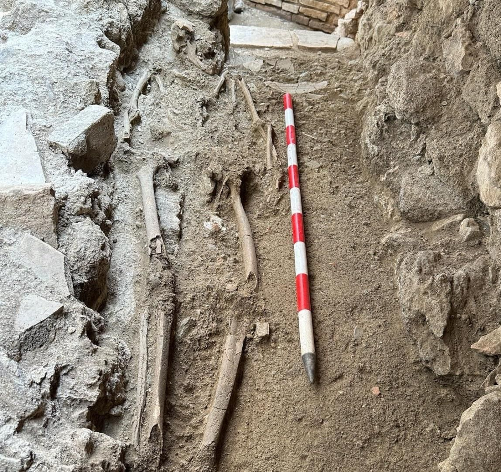 Los restos humanos que han sido descubiertos en el yacimiento