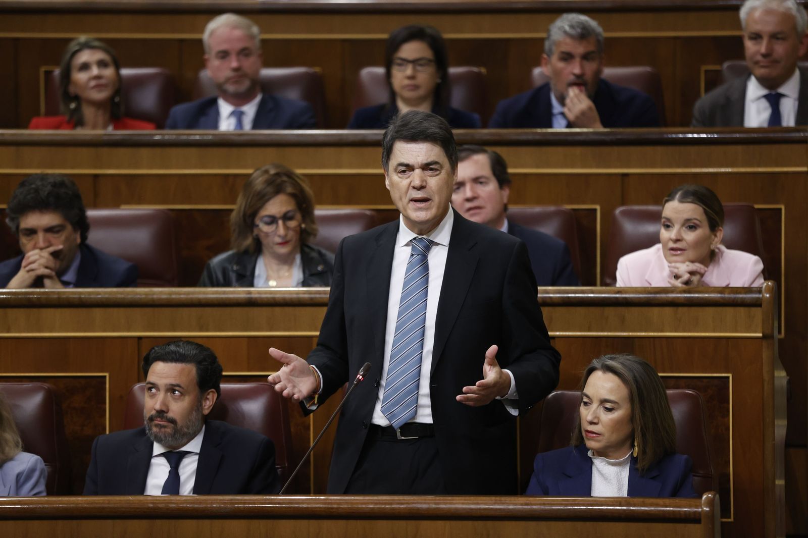 El diputado nacional del PP, Carlos Rojas, en el Congreso de los Diputados