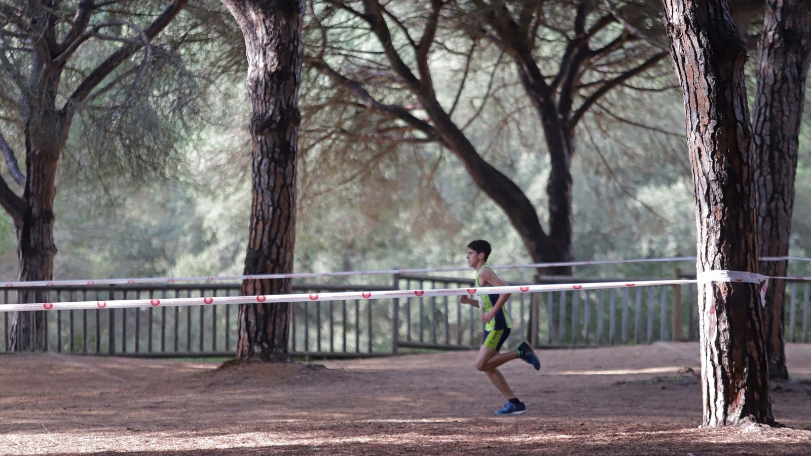 Fotos del III Cross Pinar del Rey en San Roque