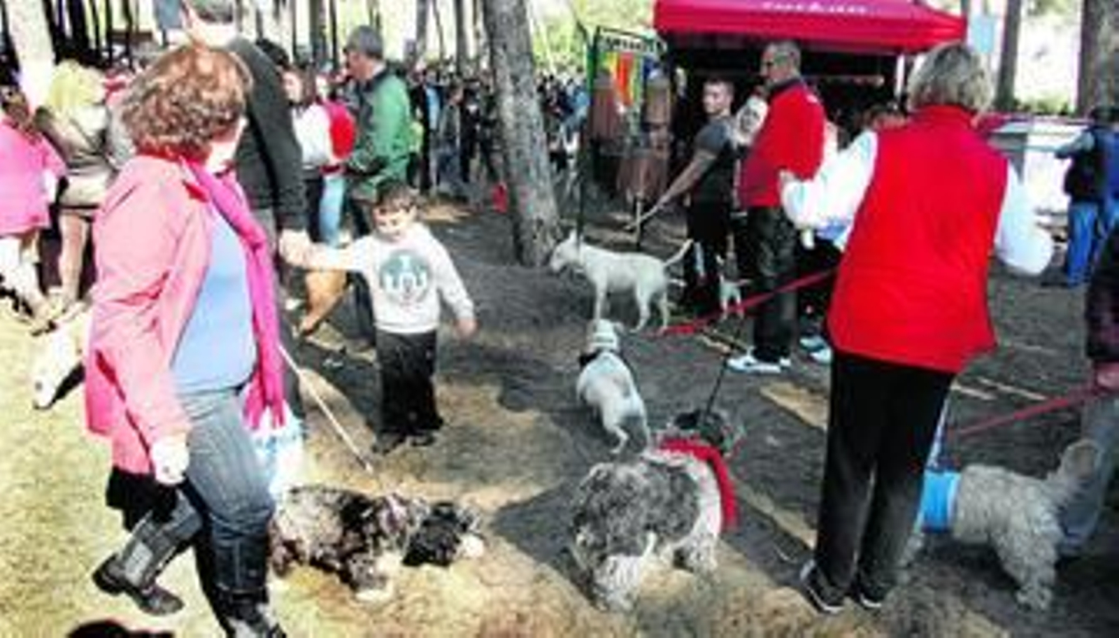 Varios asistentes a la fiesta de San Antón, celebrada en el pinar de Las Dunas.
