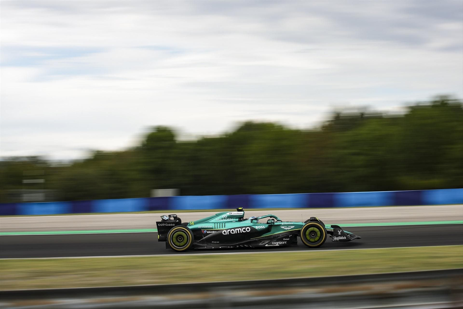 Las fotos de Fernando Alonso y del Gran Premio de Hungría
