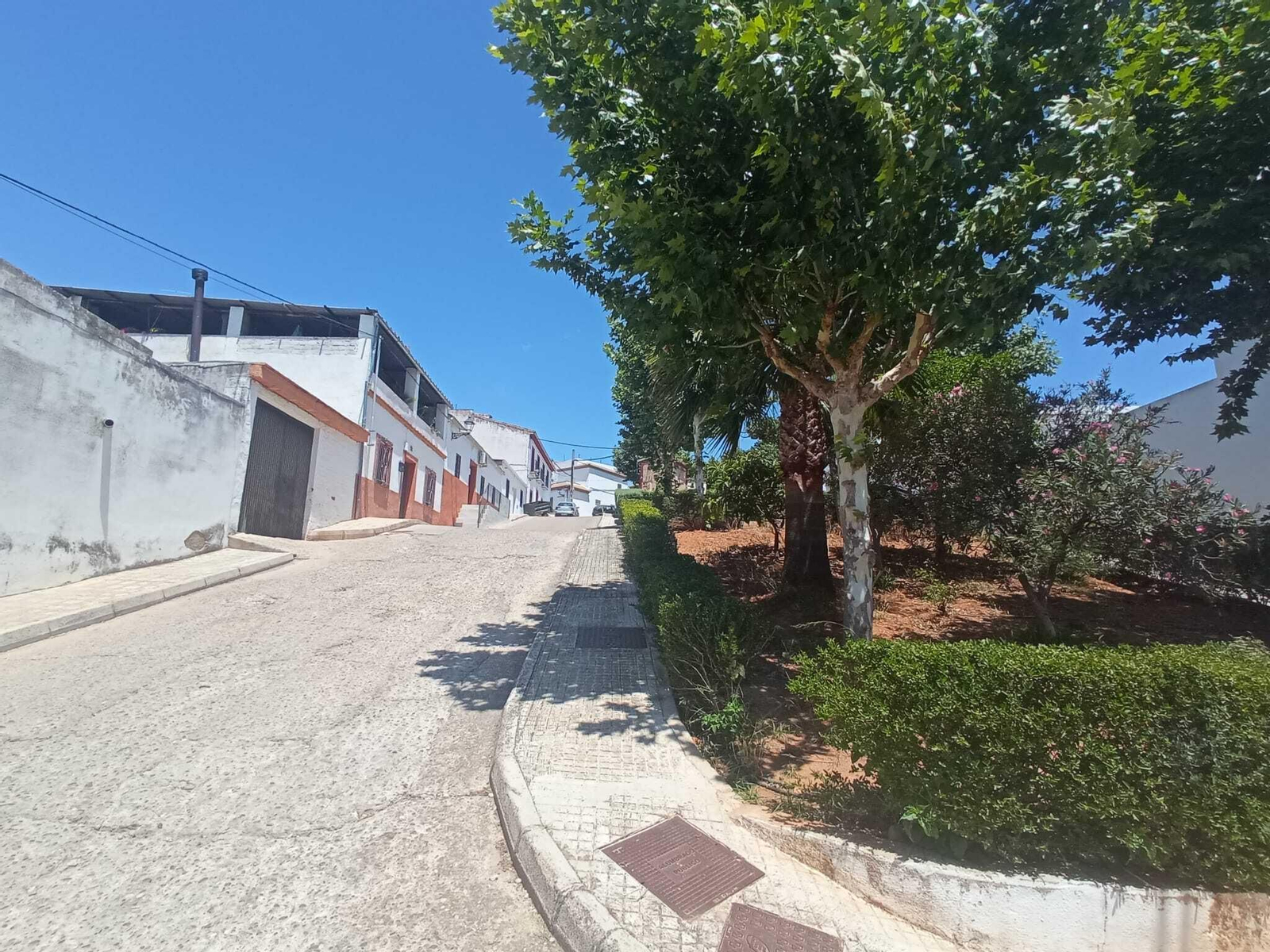Calle Jardines de Montoro.
