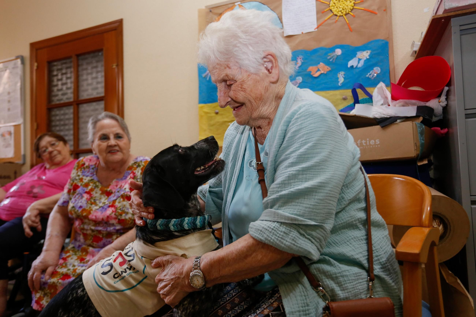 La visita de los perros de la protectora de Los Barrios a la residencia de mayores, en imágenes