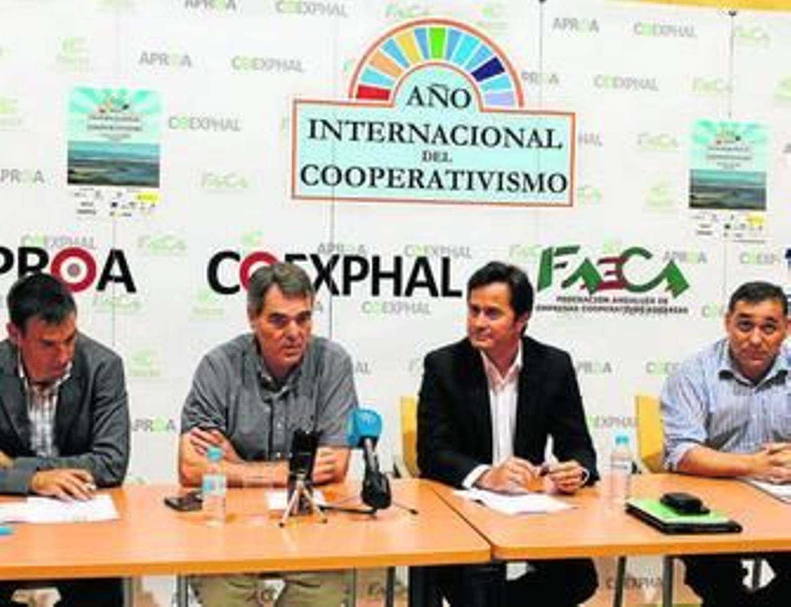 Manuel Galdeano, Jerónimo Molina, Francisco Góngora y Juan Francisco Ibáñez en la presentación.
