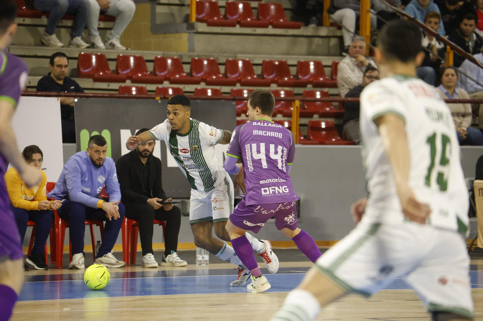 Las mejores fotos del ambiente en Vista Alegre para el Córdoba Futsal - Palma.