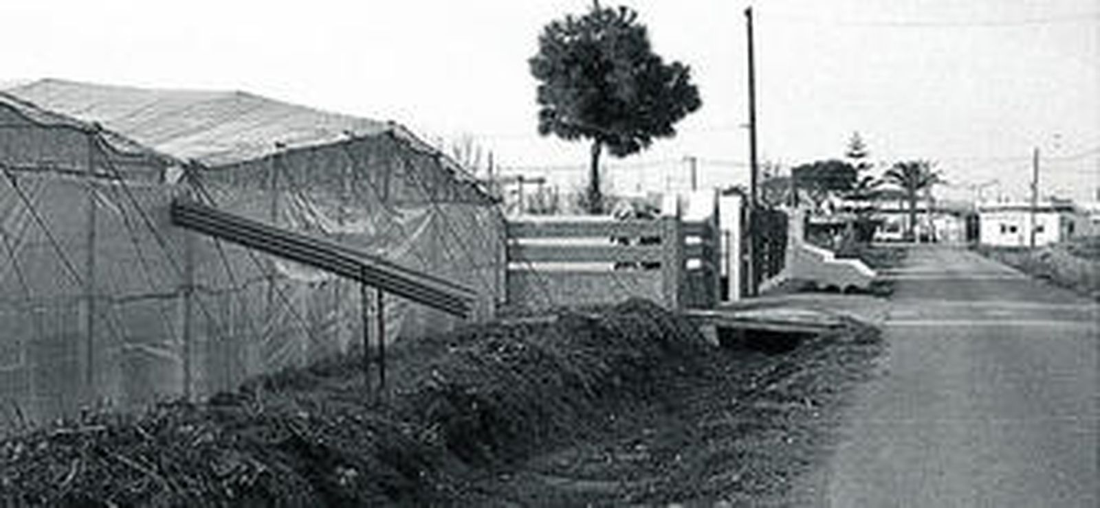 En la imagen, un invernadero emplazado en Chipiona, en una foto de archivo.