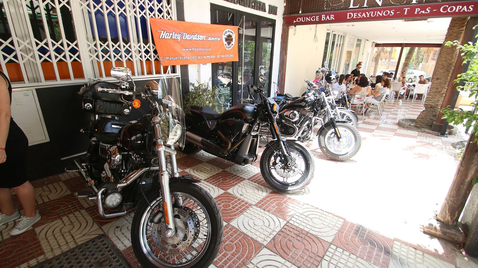 Exposición de motos Harley.