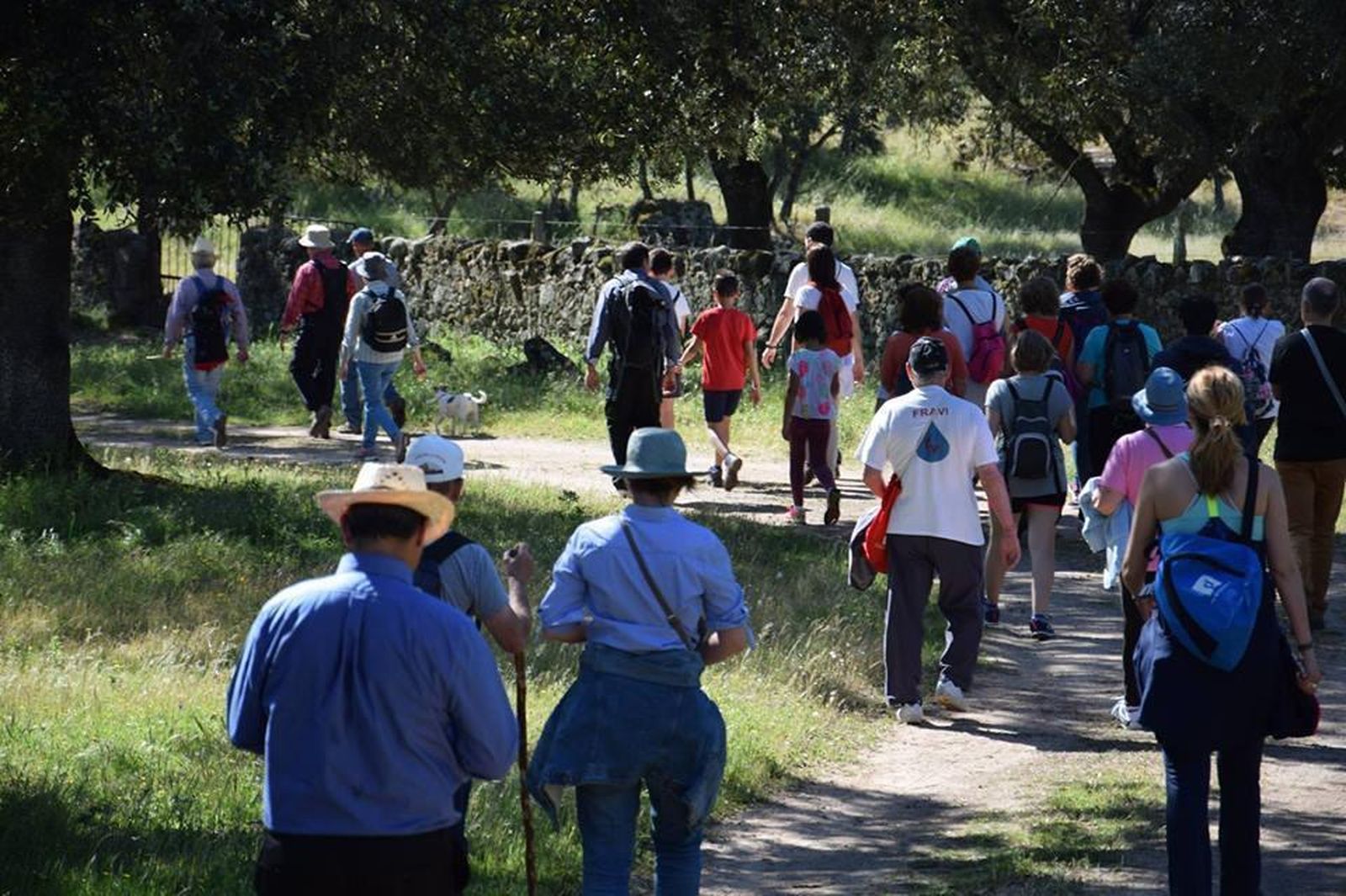 Se reanuda el 18 de septiembre en Aznalcóllar y se extenderá hasta finales de noviembre con jornadas en El Ronquillo, El Viso del Alcor, Castilblanco de los Arroyos y  Villaverde del Río.