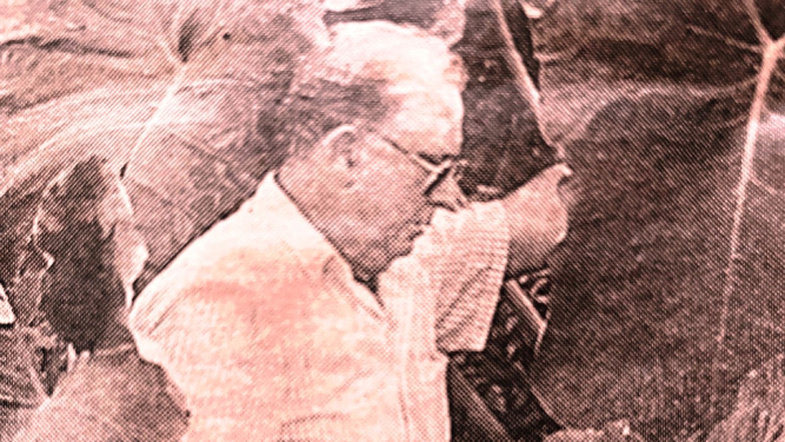 Rízquez, entre plantas.