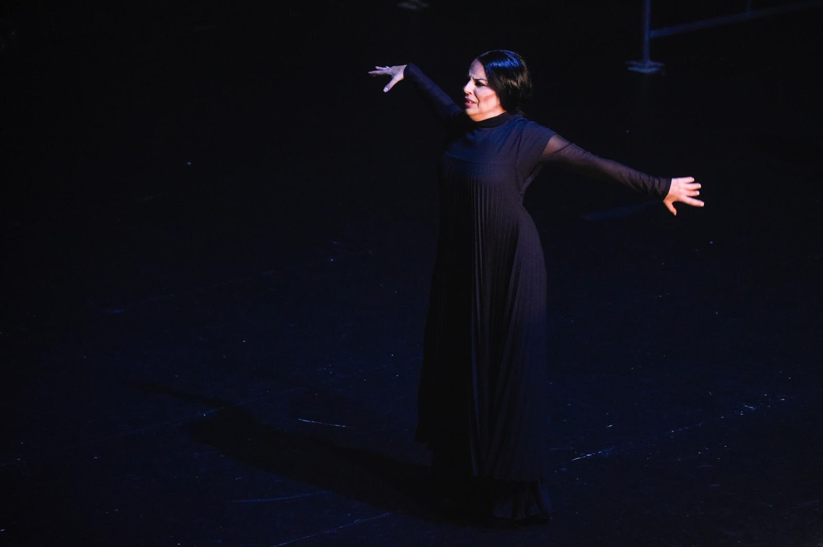 Mercedes de Córdoba en la Bienal de Flamenco