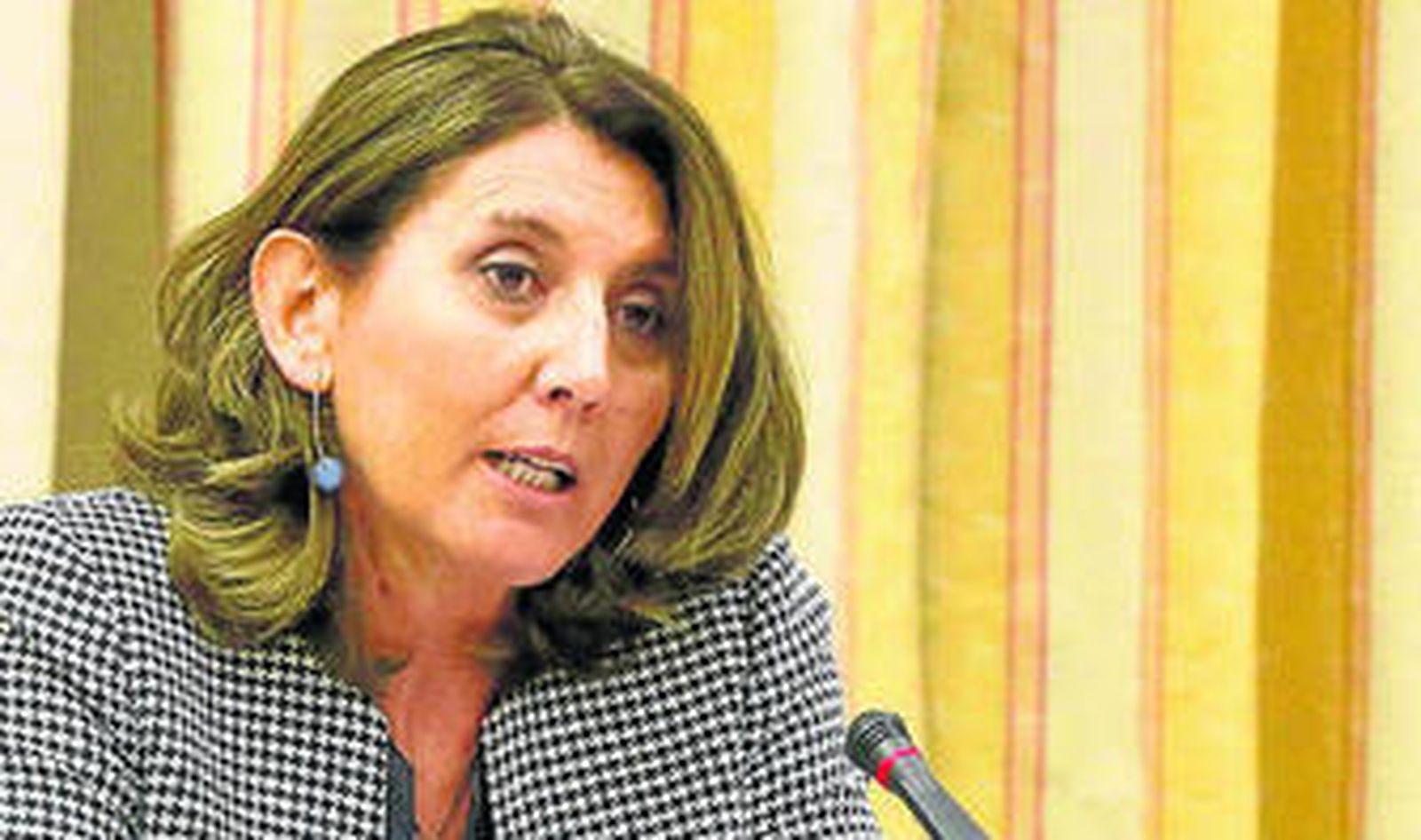 La secretaria general, Begoña Cristeto, en su comparecencia en el Congreso.