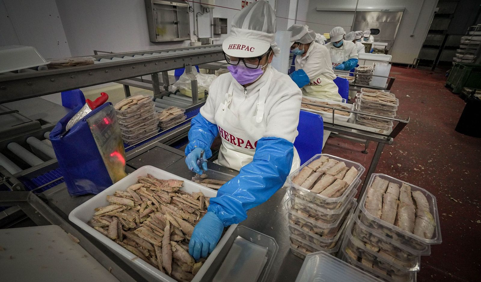 Imágenes de una tradición viva: Herpac por dentro