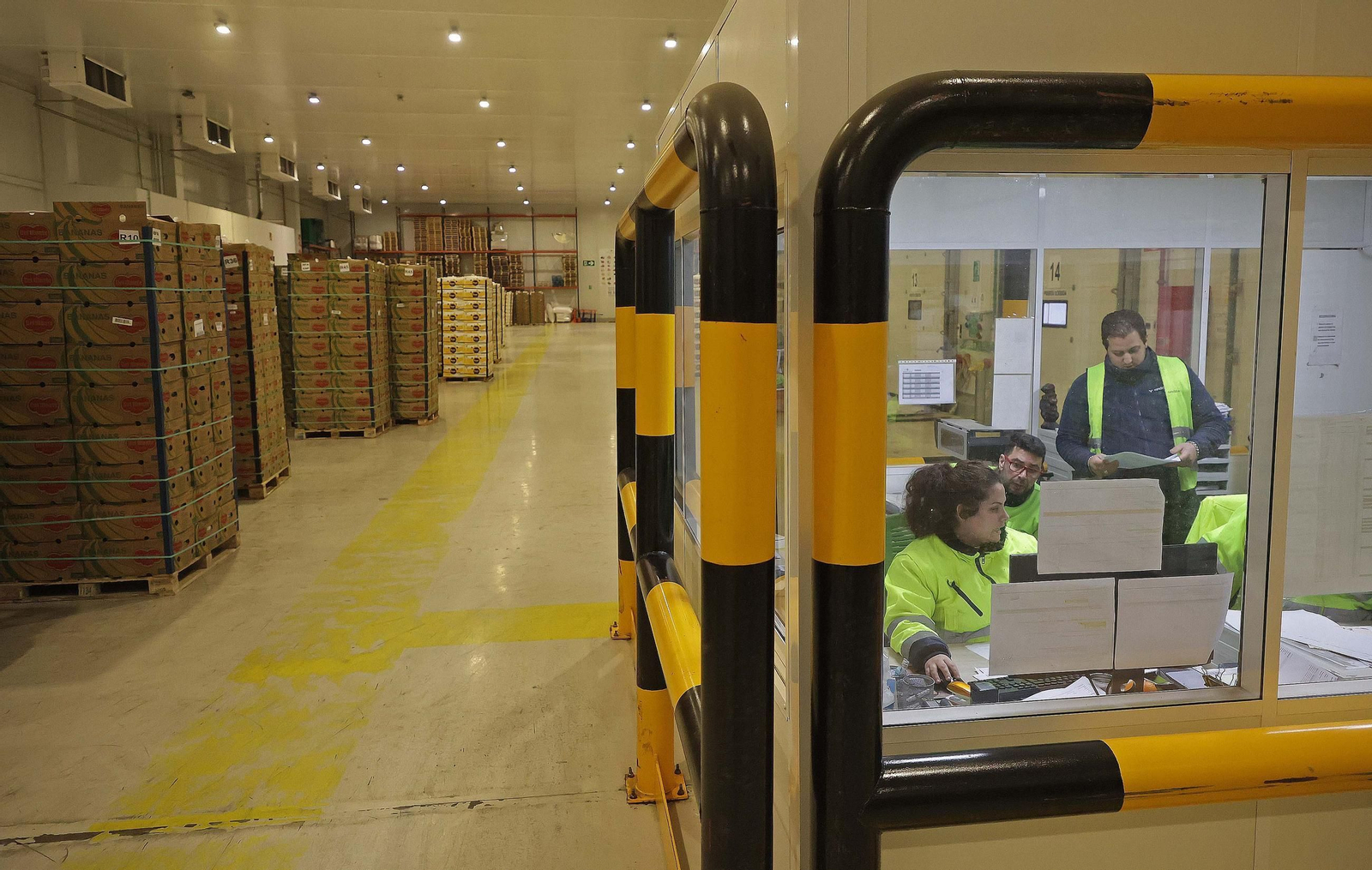 Fotos de la visita a la empresa Americold en el Puerto de Algeciras