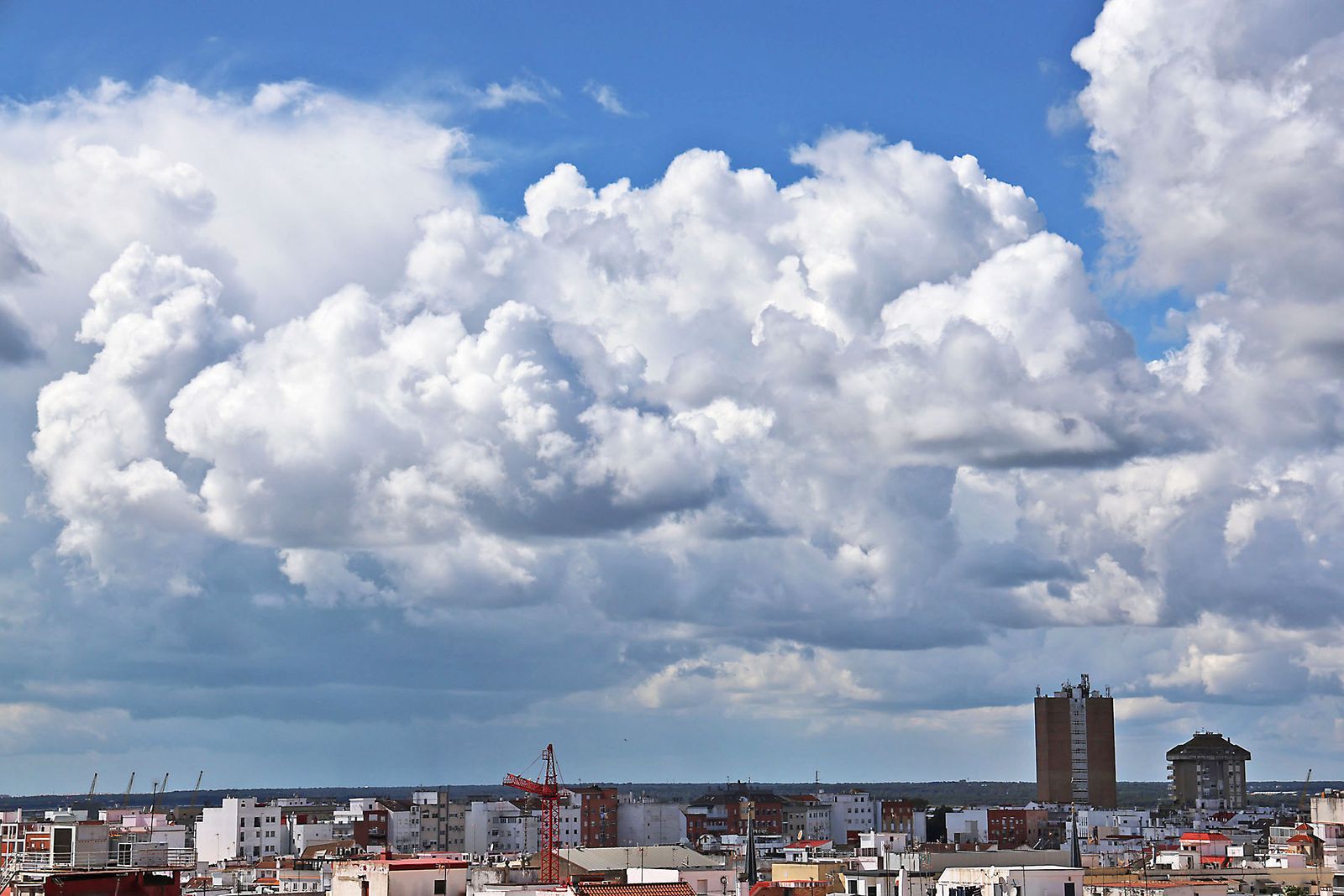 Las imágenes más destacadas del viernes 14 de marzo en Huelva