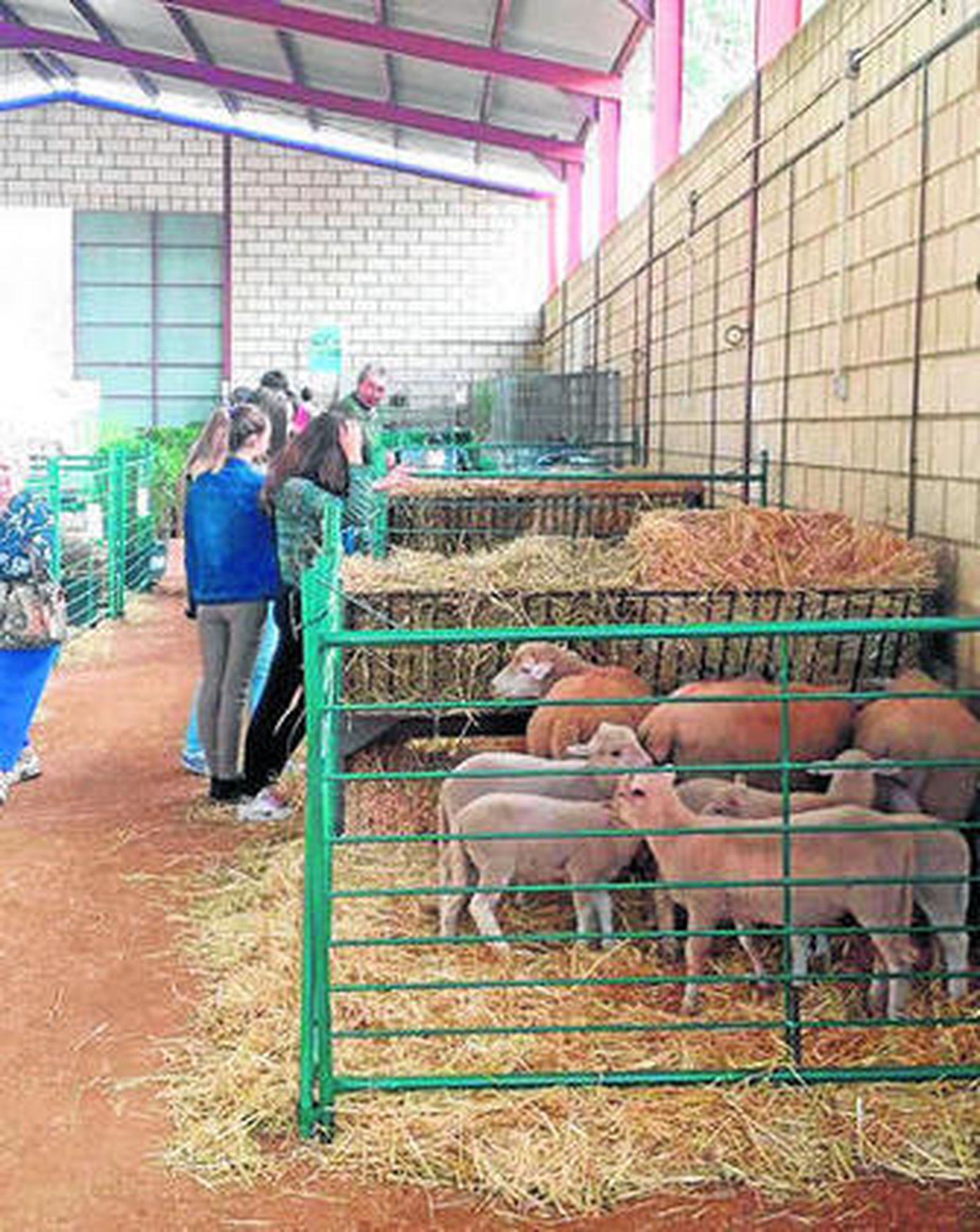 Instalaciones del recinto ferial de FAGA.