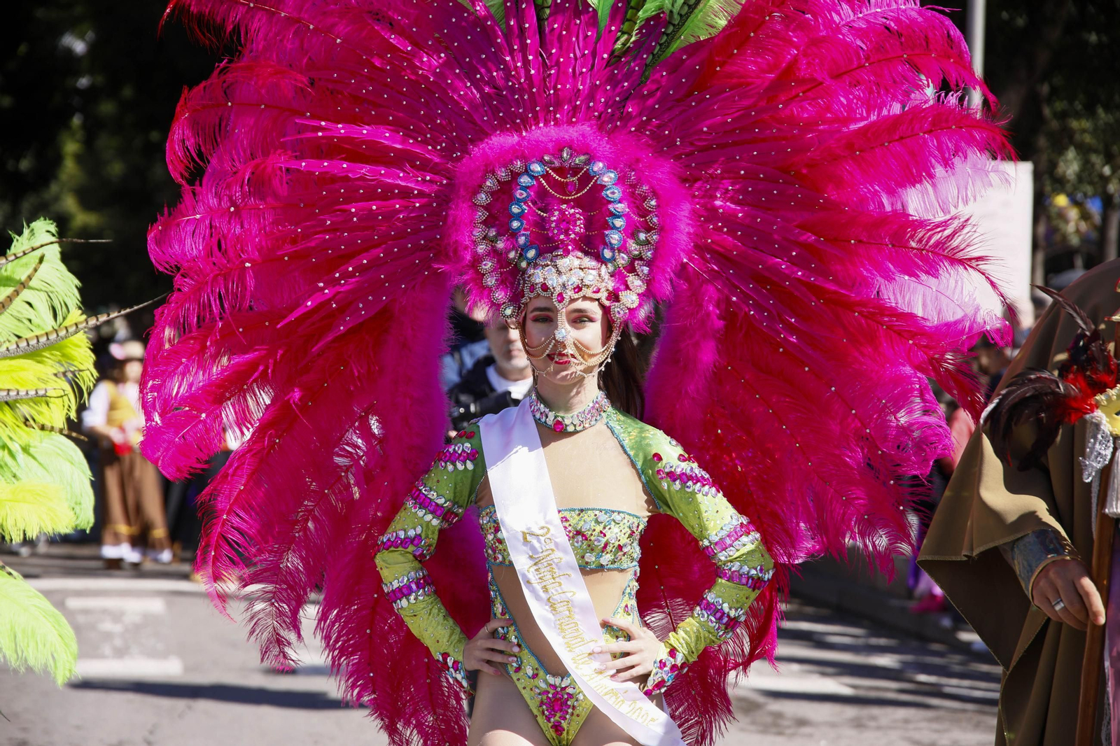 Las imágenes del entierro de la sardina en Almería