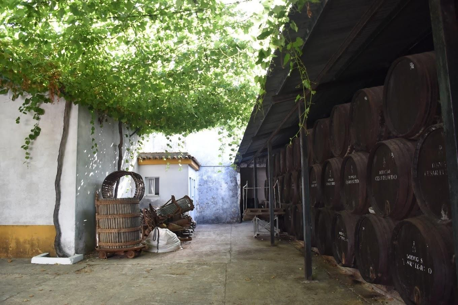 Bodegas César Florido