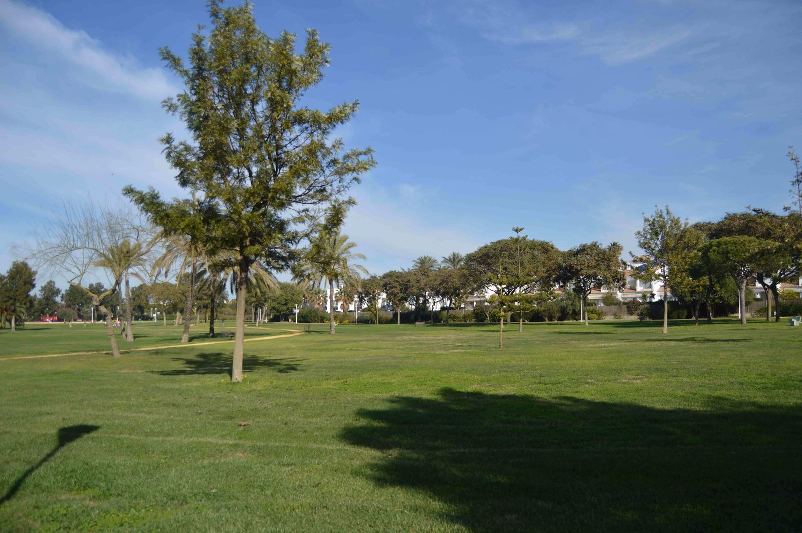 El parque acuático con aparcamiento está proyectado en esta zona de Costa Ballena.
