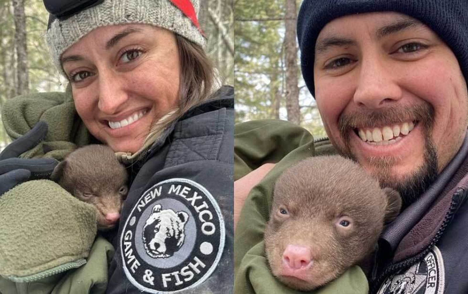 abrazadores de osos: el trabajo remunerado en México