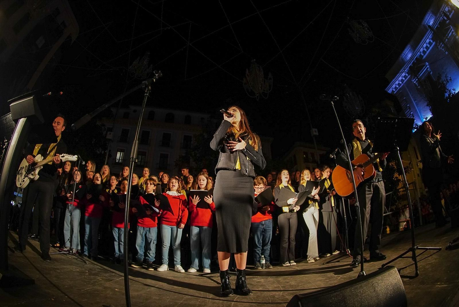 Fotos: así son las nuevas luces de Navidad de Granada