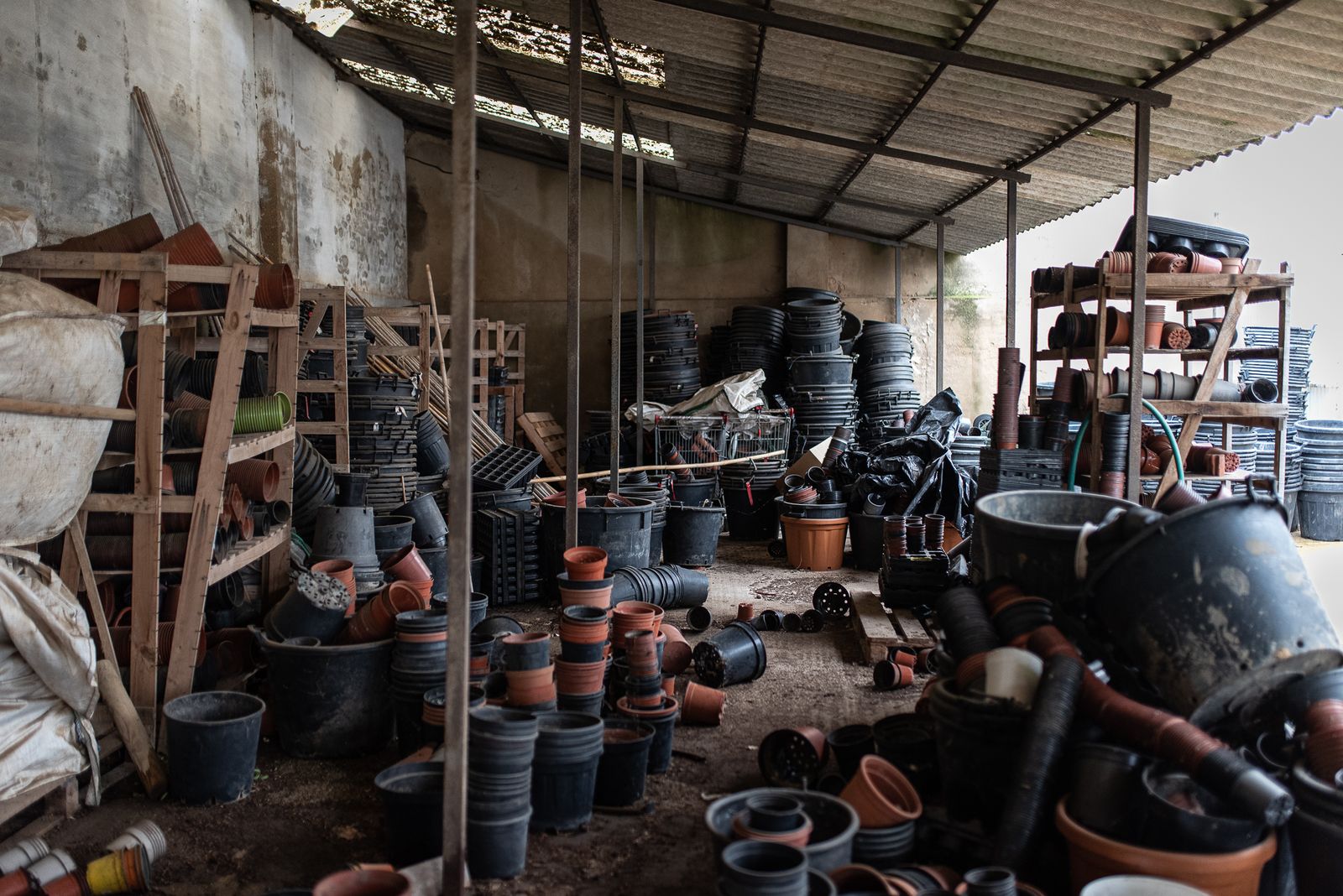 Visita al vivero municipal en imágenes