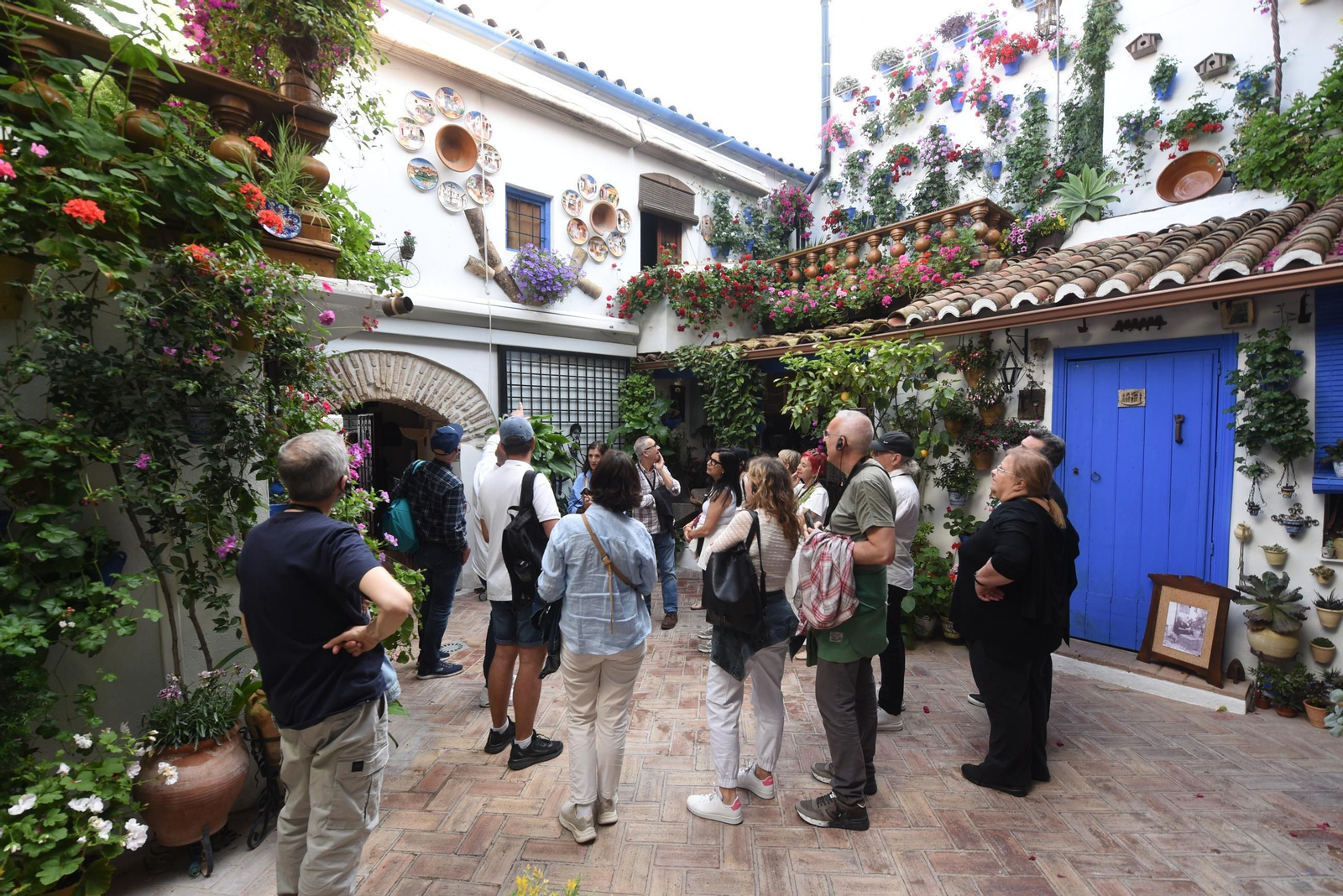 Los Patios de la ruta de San Lorenzo, en imágenes