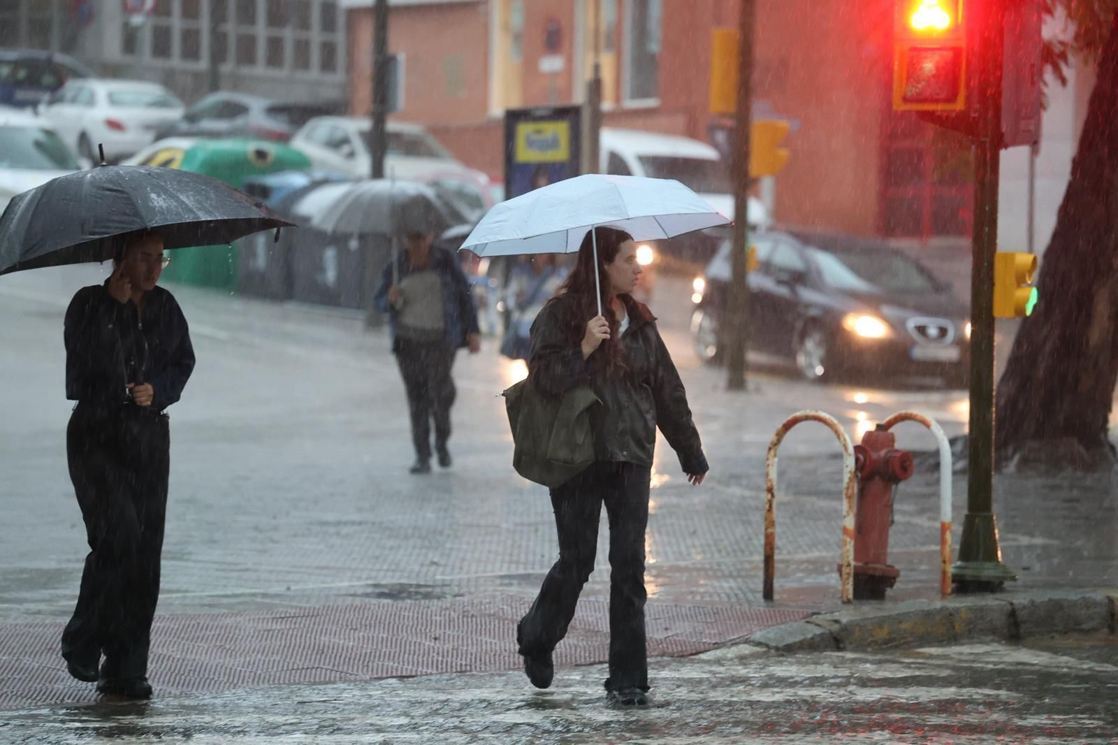 Las intensas lluvias provocan daños en la calle San Sebastián, donde se han caído numerosos árboles y ramas