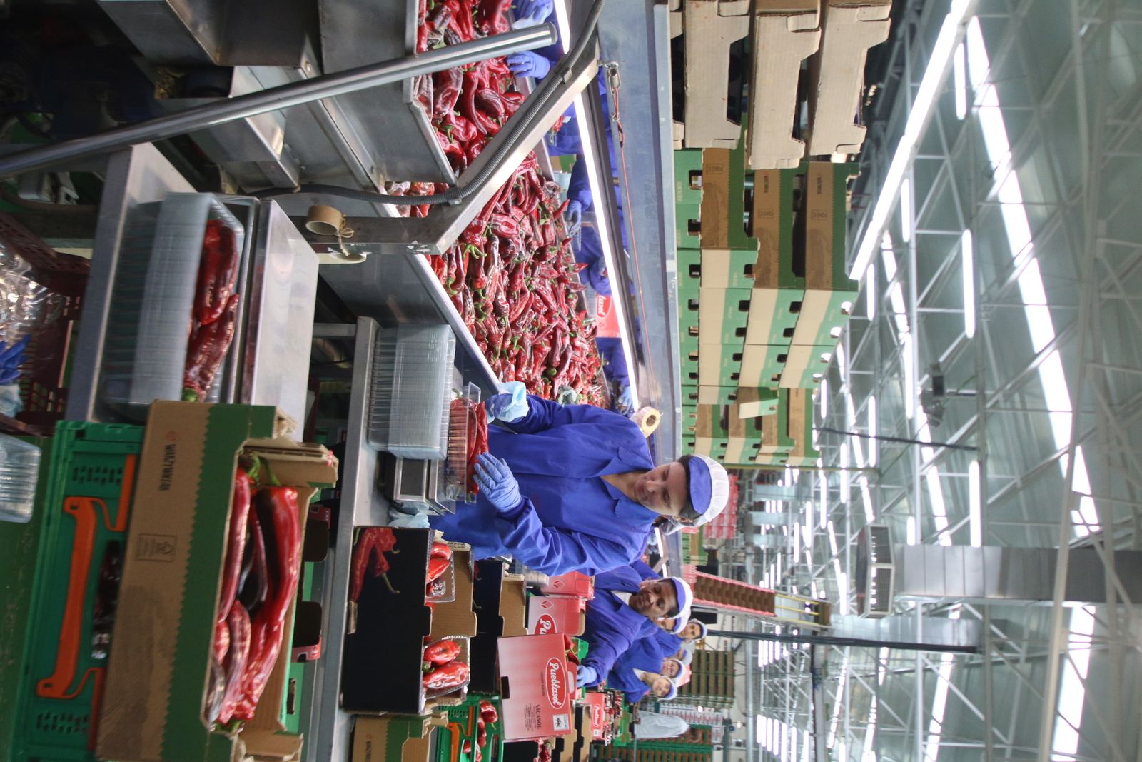 Las imágenes de la visita de Susana Díaz a Almería