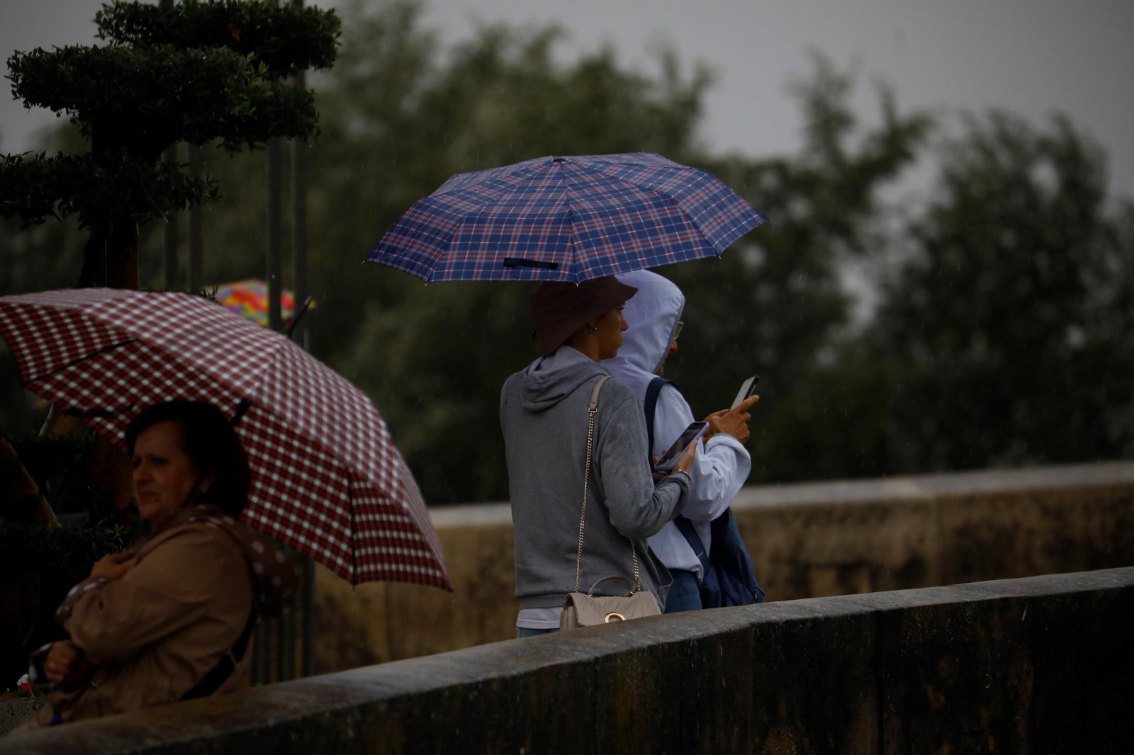 Córdoba capital en aviso naranja por lluvia