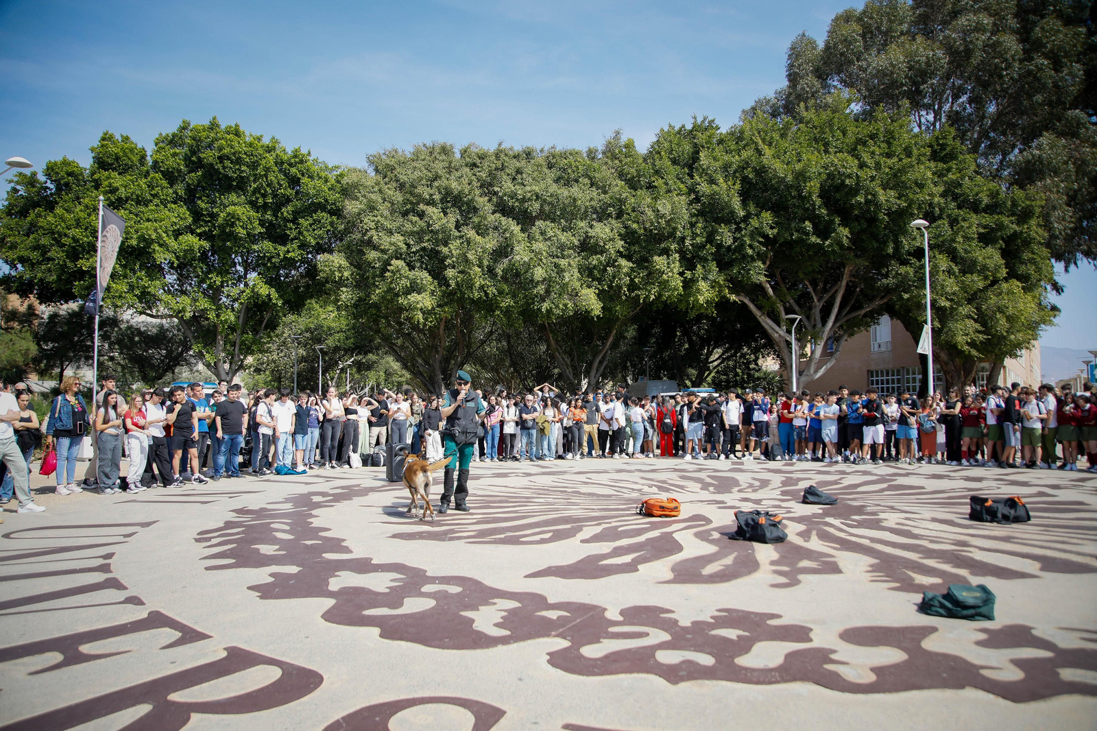 IV edición de la feria Aula de la UAl, en imágenes