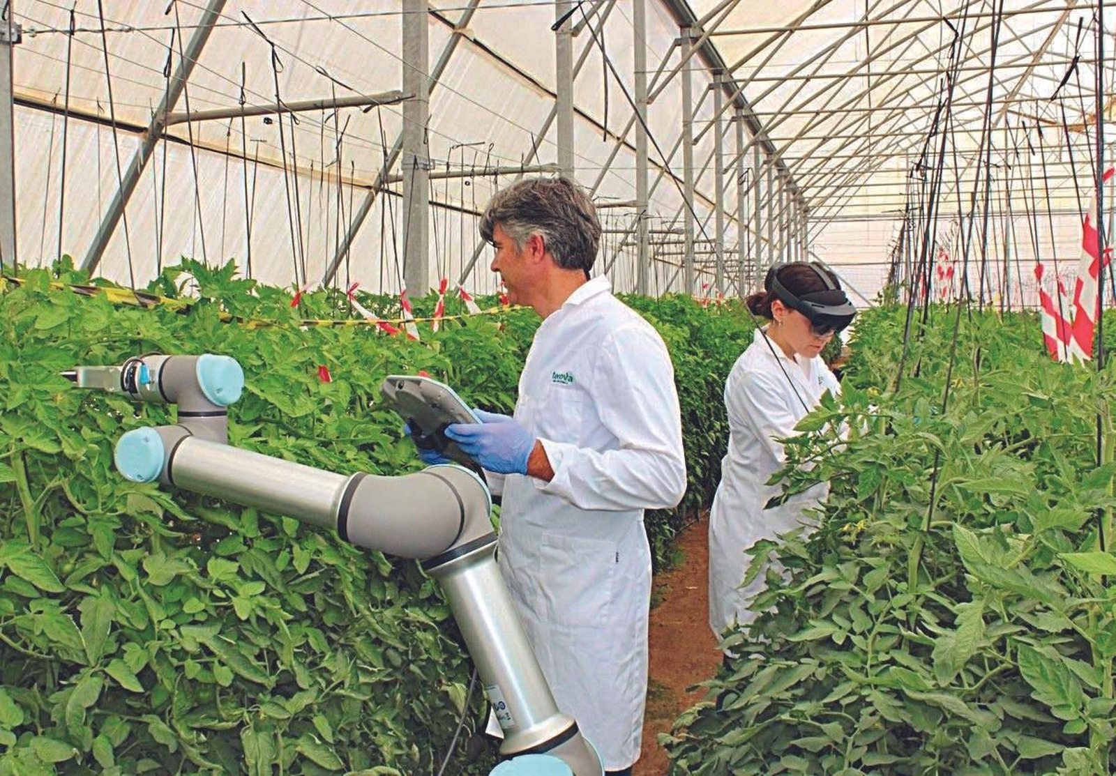 Tecnología de vanguardia en los invernaderos